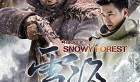 雪海电视剧在线播放,穿越冰雪的青春传奇